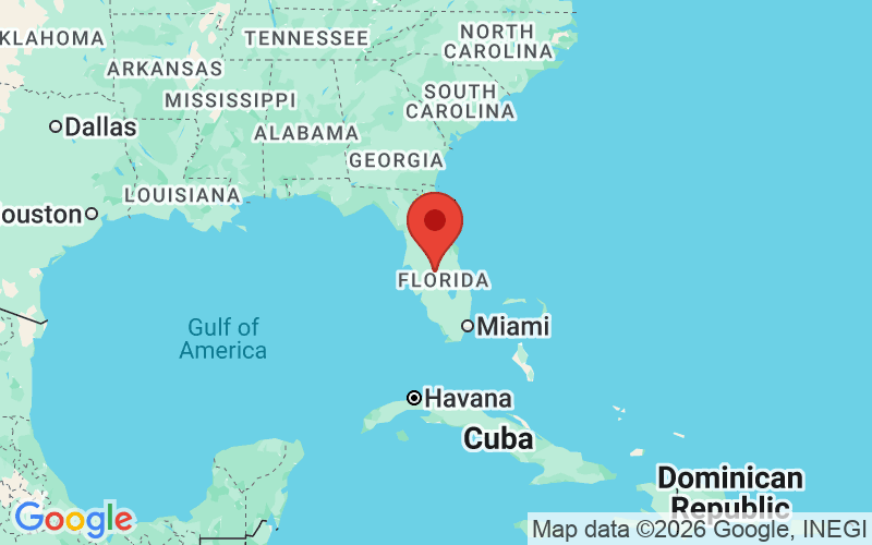 Florida Navigating Phone Numbers and Reverse Phone Number Lookup Phone Numbers Reverse Phone